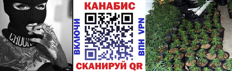 блэк спрут ссылки Десногорск Бошки Шишки VHQ купить наркотик